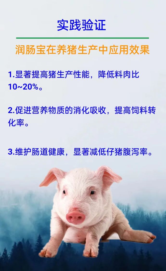 ��ϵ����